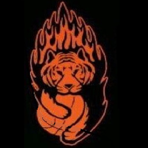 South East Tigers 
